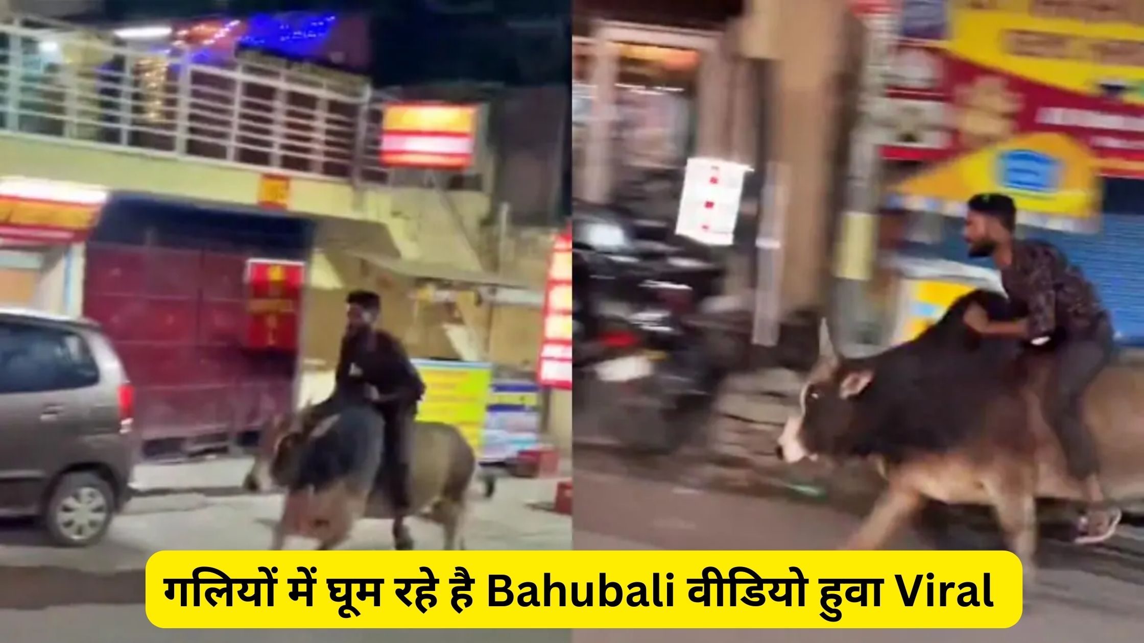 VIRAL VIDEO – युवक ने की सांड की सवारी, बीच सड़क घोड़े की तरह दौड़ाया !